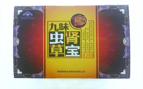 九味虫草肾宝