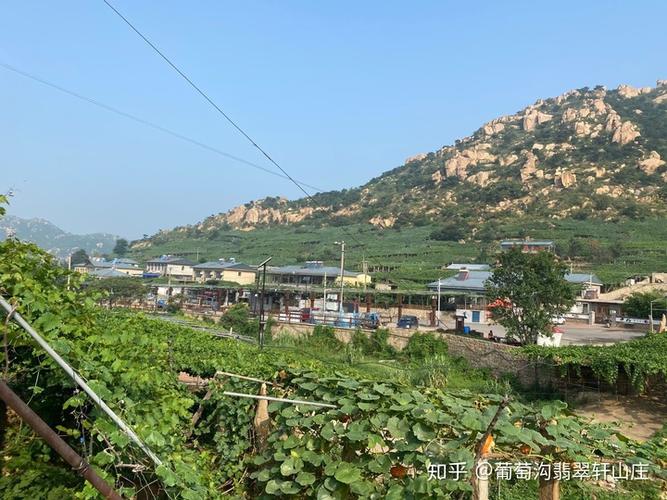 昌黎葡萄沟风景区攻略-昌黎葡萄沟农家院-昌黎葡萄沟农家院哪家好
