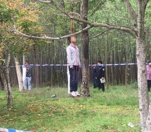 仙游籍20多岁小伙在外疑似自缢身亡 谁家小伙2月份去