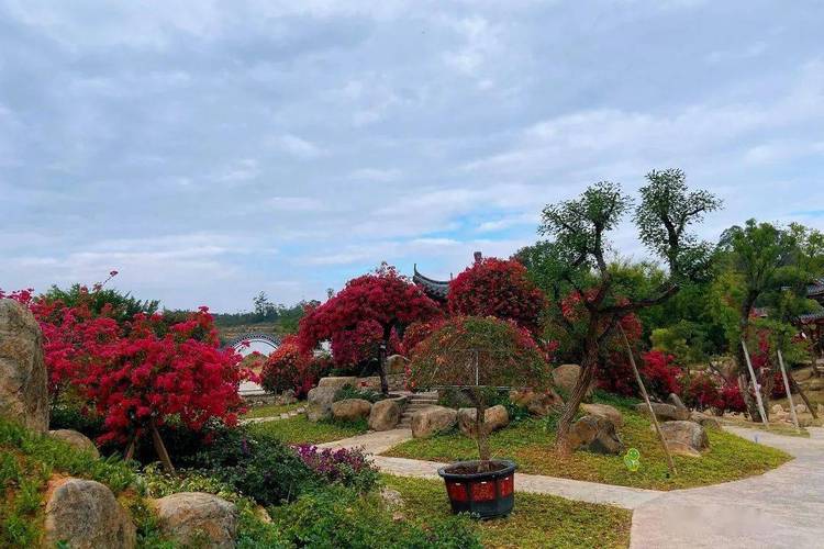 3000亩花海!广州最新「宝藏级」植物园开放预约_马岭