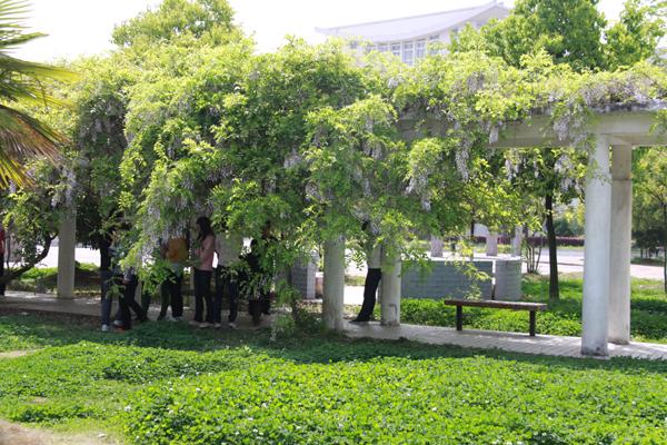 六安技术职业学院