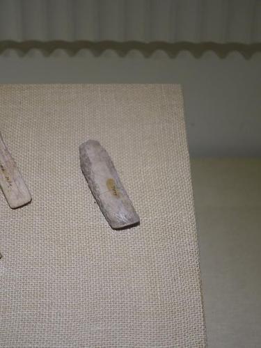 竹鹿的相册-半坡遗址出土文物展