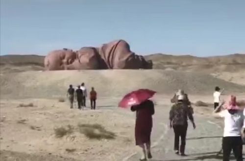 大地之子