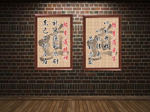 跆拳道馆跆拳道精神宗旨文化墙壁宣传画装饰画挂画贴画无框画包邮