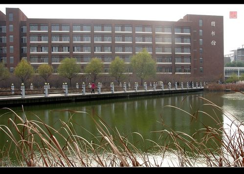 排名第二的是沈阳建筑大学,排名第三的是大连医科大学,以下是辽宁二本