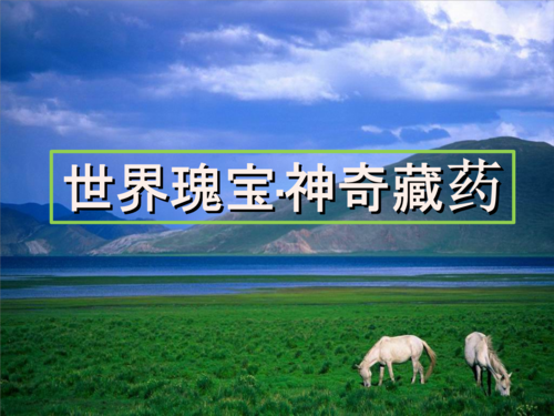 中华瑰宝,神奇藏药.ppt