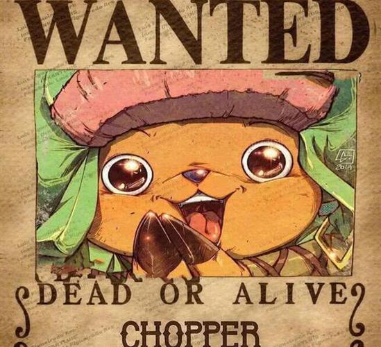 海贼王:和之国篇章后草帽一伙的悬赏令,索隆11亿,乔巴