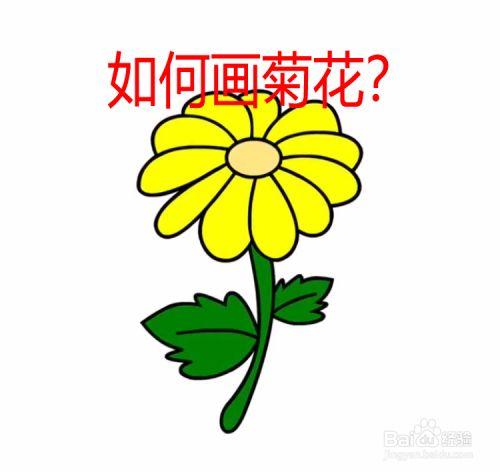如何画菊花?