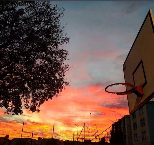 学生时代关于篮球的文案