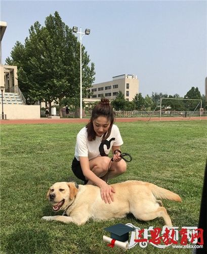 警花与警犬樱桃第几集死的 警花与警犬樱桃是怎么死的