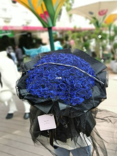 99朵蓝色妖姬花束_花束_蓝色妖姬_家居家装_家居装饰