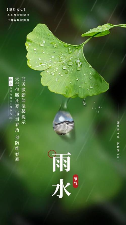 二十四节气 | 今日雨水,随风潜入夜,润物细无声