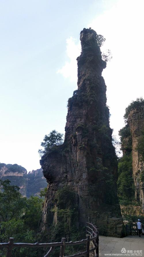 顶天柱