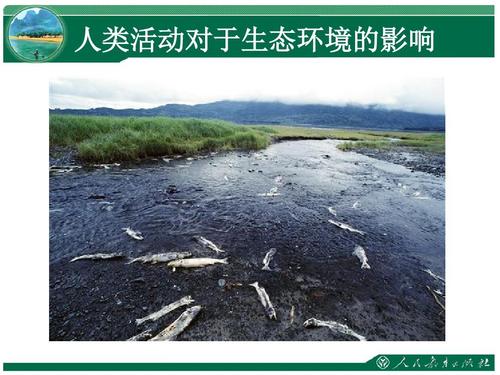 七年级下《分析人类活动对生态环境的影响》教学课件ppt