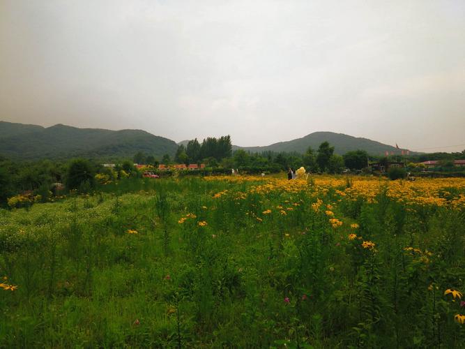 五常回龙山美景