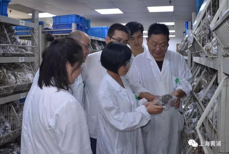 上海群力中医门诊韩龙惠黄牛挂号对病患的态度和谐可亲