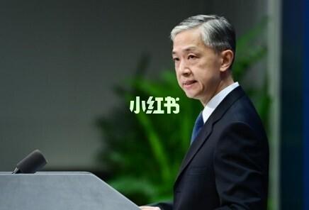 汪文斌99 才华横溢 温文尔雅 只此一眼便愿追随一生