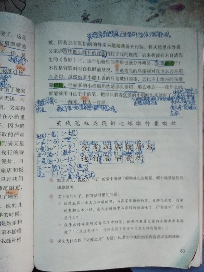 第19课,父爱之舟的课文笔记.字迹不好看,请谅解