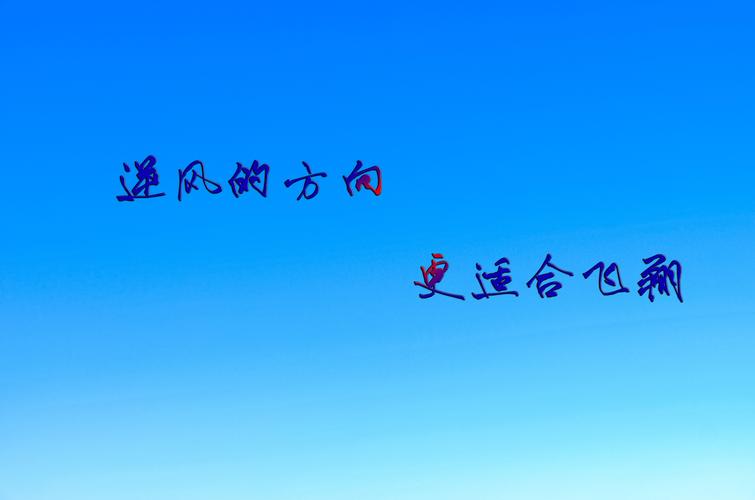 坚持,不放弃,鼓励,激励,正能量,唯美,语录,文字,创意设计,壁纸加油