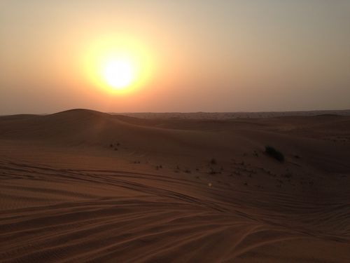 ride, a falcon show and a gorgeous sunset in the arabian desert
