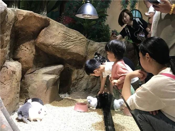 义乌森林动物园开园啦免费开放仅限三天