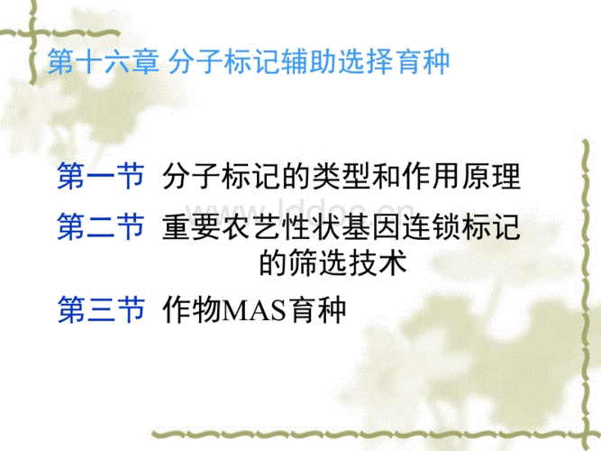 16-分子标记辅助育种.ppt