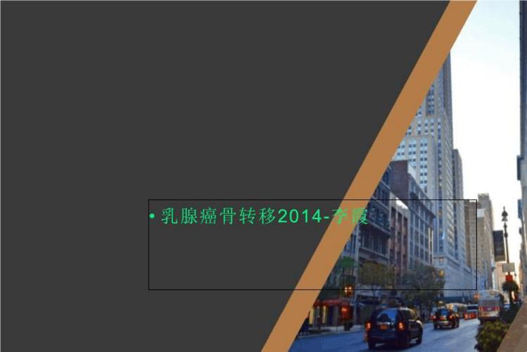 乳腺癌骨转移2014-李霞