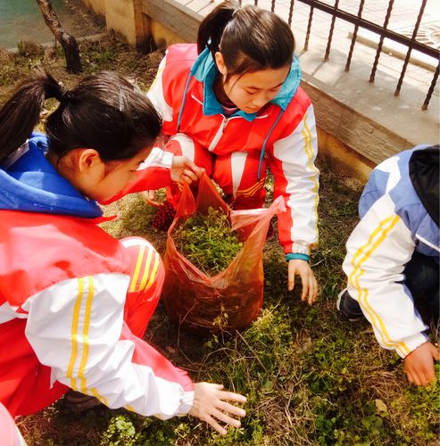 植树护绿 共建美丽校园——县特殊教育学校开展植树节