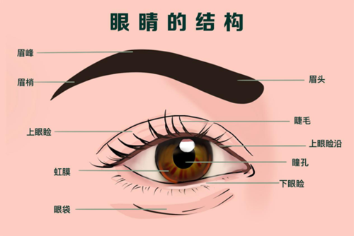 哭过之后为什么眼睛会肿?