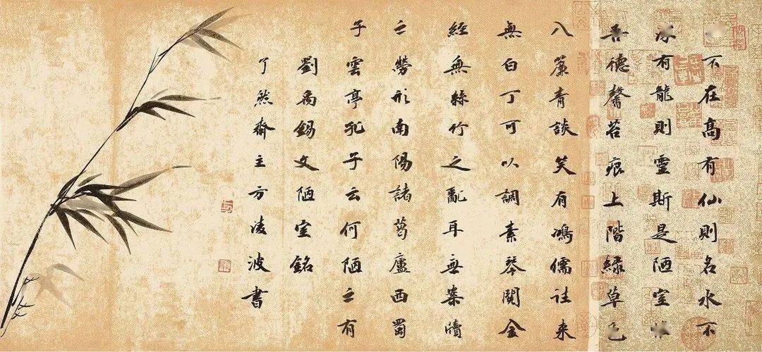 美女教授和你聊聊书法与生活