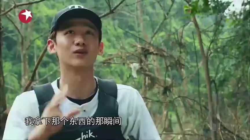跟着贝尔去冒险:什么叫第一,什么是荣誉,白敬亭终于了