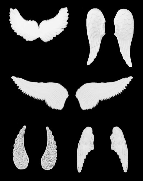 天使翅膀分层素材