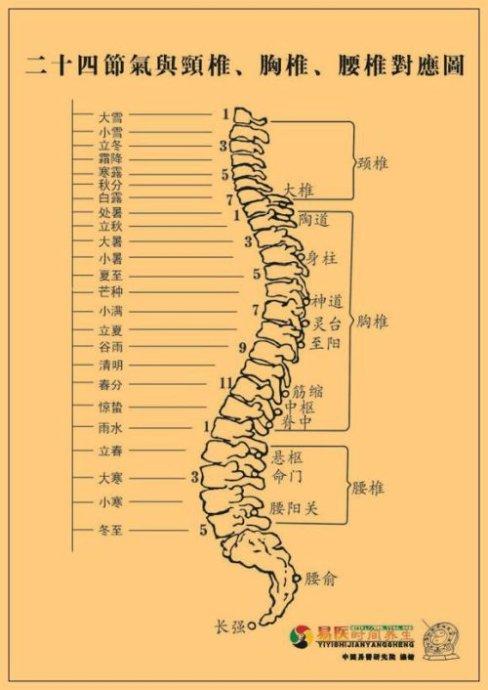 老恕 养生保健  胸椎第9节 筋缩 立夏 四月十一 5月5日 周二 16时51分