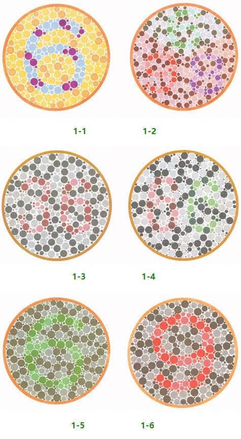 考驾照最新色彩检测,五个盘子都能看出来吗?老司机也可以再试试