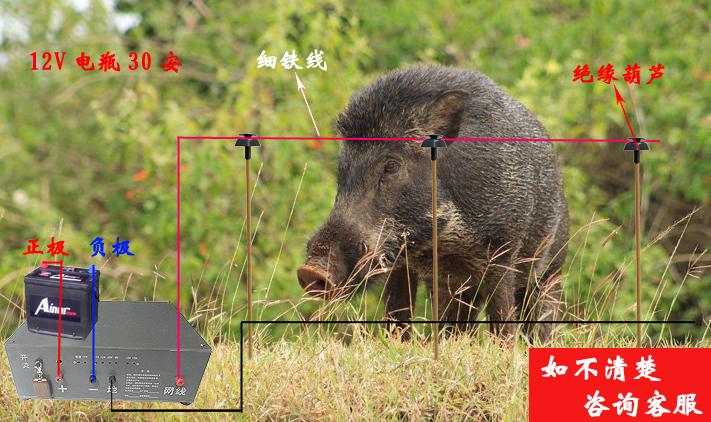 电野猪机器使用方法