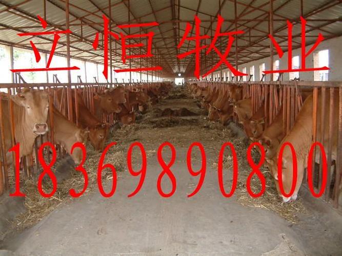 优良的品种,合理的价格,良好的信誉赢得了广大养殖朋友的信赖与好评