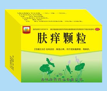 肤痒颗粒