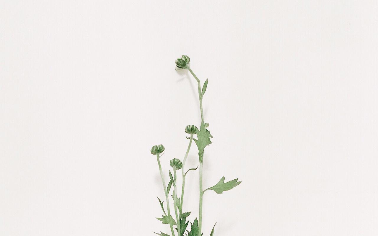 电脑小清新壁纸大图大全分享