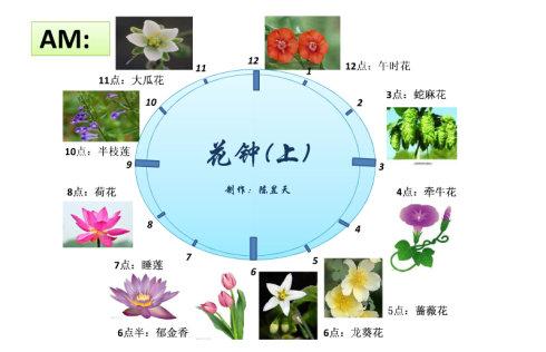 传统文化:背诵《三字经》(二)(三)(签字在a本上)