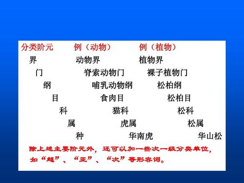 生物系统与分类ppt