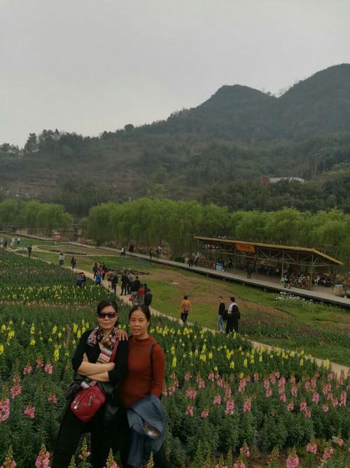 兄弟姐妹游泸州花田酒地美篇