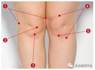 膝盖疼痛难忍,针灸都不管用了,靠一个土方法治好了!