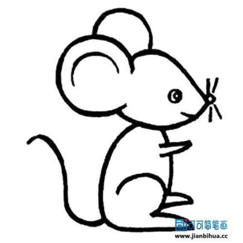 动物简笔画老鼠