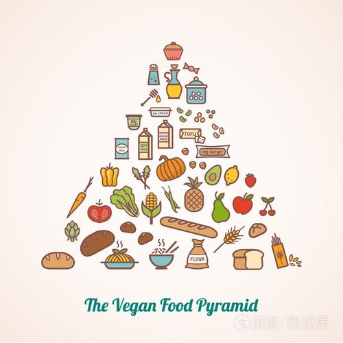 食物金字塔组成