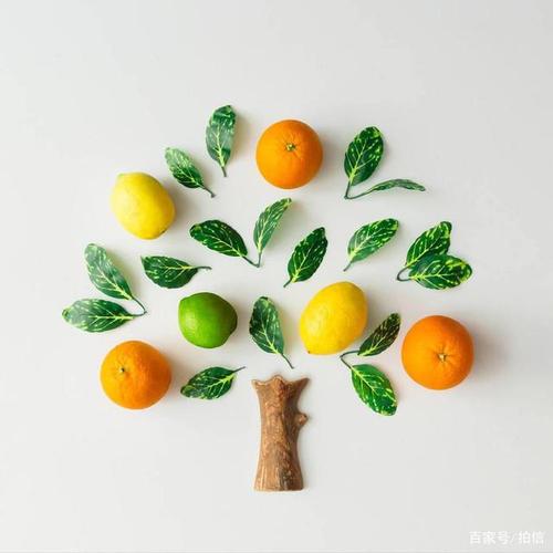 来看看这些超可爱的创意拼贴,让你的生活也换一种灵感