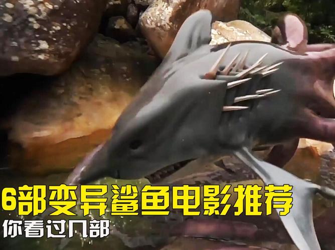 6部变异鲨鱼电影推荐,你看过几部_电影推荐_鲨鱼_电影