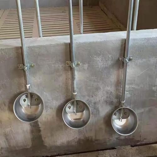 育肥猪舍饮水碗安装高度