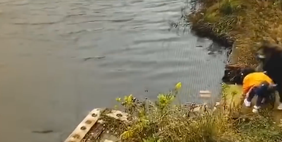 女子系鞋带被同伴推入水库栓双溺亡