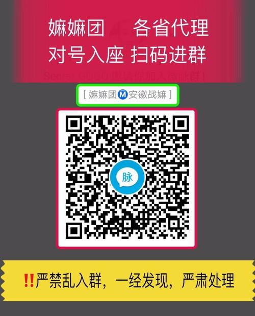 嫲嫲团各省微脉圈二维码