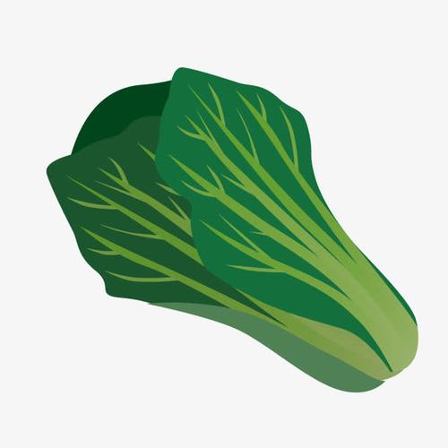 关键词 : 卡通青菜,绿色青菜,手绘蔬菜,白菜